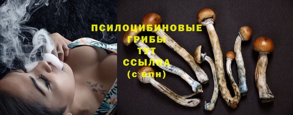 меф Нязепетровск