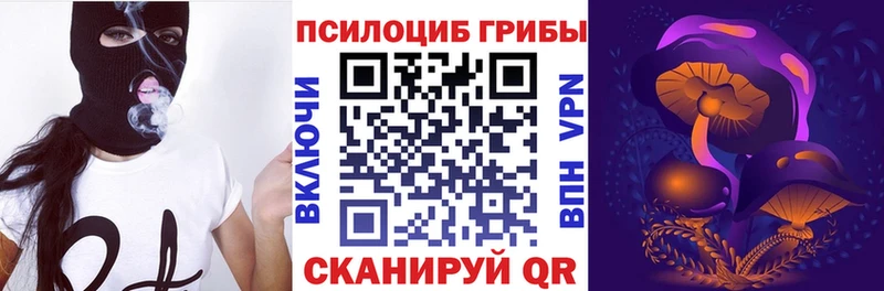 где найти   Тбилисская  Галлюциногенные грибы прущие грибы 
